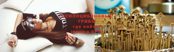 стафф Сатка