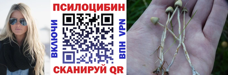 ссылка на мегу вход Весьегонск Галлюциногенные грибы ЛСД цена наркотик